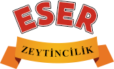 Eser Zeytin